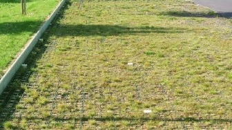 Stationnement végétalisé